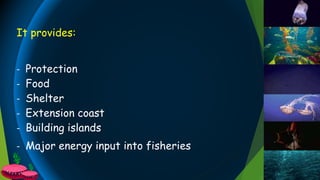 It provides:
- Protection
- Food
- Shelter
- Extension coast
- Building islands
- Major energy input into fisheries
 
