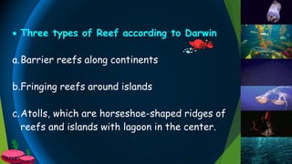  Three types of Reef according to Darwin
a.Barrier reefs along continents
b.Fringing reefs around islands
c.Atolls, which are horseshoe-shaped ridges of
reefs and islands with lagoon in the center.
 