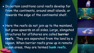  In certain conditions coral reefs develop far
from the continents, around small islands, or
towards the edge of the continental shelf.
 Here the reefs do not join up to the mainland,
but grow upwards on all sides. Large, elongated
structures far offshores are called barrier
reefs. They are separated from the land by a
lagoon. When barrier reefs grow up in remote
ocean areas, they are termed bank reefs.
 