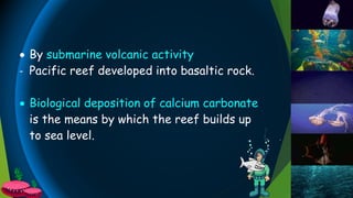  By submarine volcanic activity
- Pacific reef developed into basaltic rock.
 Biological deposition of calcium carbonate
is the means by which the reef builds up
to sea level.
 