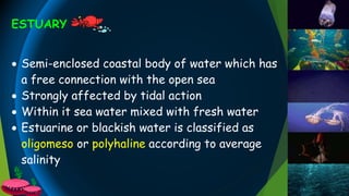 ESTUARY
 Semi-enclosed coastal body of water which has
a free connection with the open sea
 Strongly affected by tidal action
 Within it sea water mixed with fresh water
 Estuarine or blackish water is classified as
oligomeso or polyhaline according to average
salinity
 