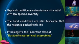  Physical condition in estuaries are stressful
with low species diversity
 The food conditions are also favorable that
the region is packed with life
 It belongs to the important class of
“fluctuating water-level ecosystems”
 