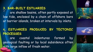 3. BAR-BUILT ESTUARIES
are shallow basins, often partly exposed at
low tide, enclosed by a chain of offshore bars
or barrier islands, broken at intervals by inlets.
4. ESTUARIES PRODUCED BY TECTONIC
PROCESSES
are coastal indentures formed by
geological faulting or by local subsidence often
with large inflow of fresh water.
 