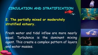 2. The partially mixed or moderately
stratified estuary.
Fresh water and tidal inflow are more nearly
equal. Turbulence is the dominant mixing
agent. This create a complex pattern of layers
and water masses.
CIRCULATION AND STRATIFICATION
 