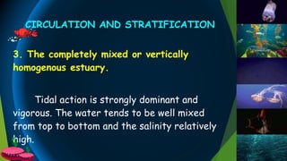 3. The completely mixed or vertically
homogenous estuary.
Tidal action is strongly dominant and
vigorous. The water tends to be well mixed
from top to bottom and the salinity relatively
high.
CIRCULATION AND STRATIFICATION
 