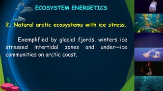 2. Natural arctic ecosystems with ice stress.
Exemplified by glacial fjords, winters ice
stressed intertidal zones and under—ice
communities on arctic coast.
ECOSYSTEM ENERGETICS
 