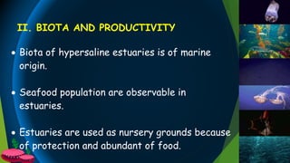  Biota of hypersaline estuaries is of marine
origin.
 Seafood population are observable in
estuaries.
 Estuaries are used as nursery grounds because
of protection and abundant of food.
II. BIOTA AND PRODUCTIVITY
 