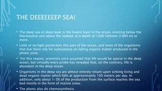 THE DEEEEEEEP SEA!
• The deep sea or deep layer is the lowest layer in the ocean, existing below the
thermocline and above the seabed, at a depth of 1000 fathoms (1800 m) or
more.
• Little or no light penetrates this part of the ocean, and most of the organisms
that live there rely for subsistence on falling organic matter produced in the
photic zone.
• For this reason, scientists once assumed that life would be sparse in the deep
ocean, but virtually every probe has revealed that, on the contrary, life is
abundant in the deep ocean.
• Organisms in the deep sea are almost entirely reliant upon sinking living and
dead organic matter which falls at approximately 100 meters per day. In
addition, only about 1-3% of the production from the surface reaches the sea
bed mostly in the form of marine snow.
• The plants also do chemosynthesis.
 