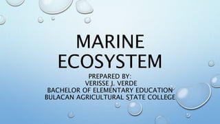MARINE
ECOSYSTEM
PREPARED BY:
VERISSE J. VERDE
BACHELOR OF ELEMENTARY EDUCATION
BULACAN AGRICULTURAL STATE COLLEGE
 