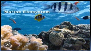 Marine Ecosystem.pptx