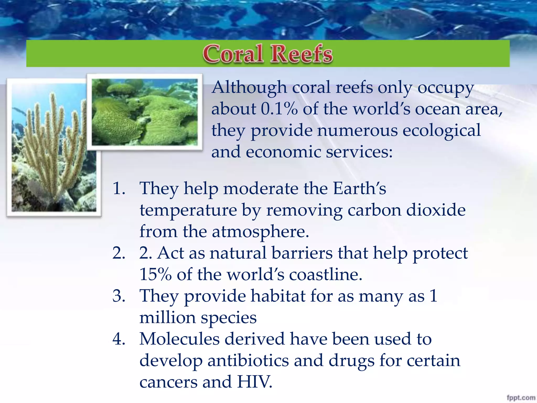 Although coral reefs only occupy
about 0.1% of the world’s ocean area,
they provide numerous ecological
and economic services:
1. They help moderate the Earth’s
temperature by removing carbon dioxide
from the atmosphere.
2. 2. Act as natural barriers that help protect
15% of the world’s coastline.
3. They provide habitat for as many as 1
million species
4. Molecules derived have been used to
develop antibiotics and drugs for certain
cancers and HIV.
 