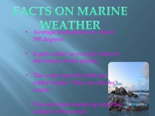 • Average temperature is about
  39f degrees

• It gets colder as you get closer to
  the bottom of the planet.

• The water near the belts are
  called tropics. They are always
  warm.

• The suns heat warms up only the
  surface of the ocean.
 