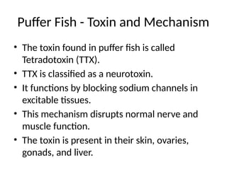 Ttx Fish Marine_Envenomation_Complete forensic. Medicine | PPTX