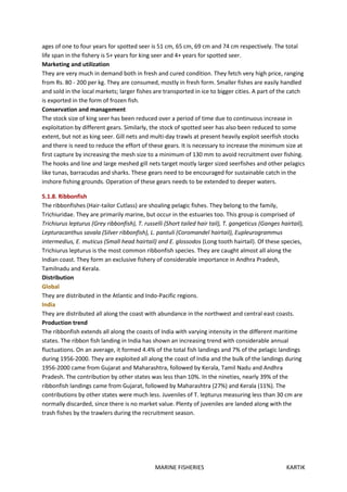 MARINE FISHERIES KARTIK
ages of one to four years for spotted seer is 51 cm, 65 cm, 69 cm and 74 cm respectively. The total
life span in the fishery is 5+ years for king seer and 4+ years for spotted seer.
Marketing and utilization
They are very much in demand both in fresh and cured condition. They fetch very high price, ranging
from Rs. 80 - 200 per kg. They are consumed, mostly in fresh form. Smaller fishes are easily handled
and sold in the local markets; larger fishes are transported in ice to bigger cities. A part of the catch
is exported in the form of frozen fish.
Conservation and management
The stock size of king seer has been reduced over a period of time due to continuous increase in
exploitation by different gears. Similarly, the stock of spotted seer has also been reduced to some
extent, but not as king seer. Gill nets and multi-day trawls at present heavily exploit seerfish stocks
and there is need to reduce the effort of these gears. It is necessary to increase the minimum size at
first capture by increasing the mesh size to a minimum of 130 mm to avoid recruitment over fishing.
The hooks and line and large meshed gill nets target mostly larger sized seerfishes and other pelagics
like tunas, barracudas and sharks. These gears need to be encouraged for sustainable catch in the
inshore fishing grounds. Operation of these gears needs to be extended to deeper waters.
5.1.8. Ribbonfish
The ribbonfishes (Hair-tailor Cutlass) are shoaling pelagic fishes. They belong to the family,
Trichiuridae. They are primarily marine, but occur in the estuaries too. This group is comprised of
Trichiurus lepturus (Grey ribbonfish), T. russelli (Short tailed hair tail), T. gangeticus (Ganges hairtail),
Lepturacanthus savala (Silver ribbonfish), L. pantuli (Coromandel hairtail), Eupleurogrammus
intermedius, E. muticus (Small head hairtail) and E. glossodos (Long tooth hairtail). Of these species,
Trichiurus lepturus is the most common ribbonfish species. They are caught almost all along the
Indian coast. They form an exclusive fishery of considerable importance in Andhra Pradesh,
Tamilnadu and Kerala.
Distribution
Global
They are distributed in the Atlantic and Indo-Pacific regions.
India
They are distributed all along the coast with abundance in the northwest and central east coasts.
Production trend
The ribbonfish extends all along the coasts of India with varying intensity in the different maritime
states. The ribbon fish landing in India has shown an increasing trend with considerable annual
fluctuations. On an average, it formed 4.4% of the total fish landings and 7% of the pelagic landings
during 1956-2000. They are exploited all along the coast of India and the bulk of the landings during
1956-2000 came from Gujarat and Maharashtra, followed by Kerala, Tamil Nadu and Andhra
Pradesh. The contribution by other states was less than 10%. In the nineties, nearly 39% of the
ribbonfish landings came from Gujarat, followed by Maharashtra (27%) and Kerala (11%). The
contributions by other states were much less. Juveniles of T. lepturus measuring less than 30 cm are
normally discarded, since there is no market value. Plenty of juveniles are landed along with the
trash fishes by the trawlers during the recruitment season.
 