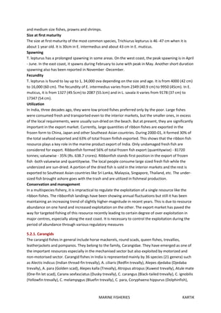 MARINE FISHERIES KARTIK
and medium size fishes, prawns and shrimps.
Size at first maturity
The size at first maturity of the most common species, Trichiurus lepturus is 46 -47 cm when it is
about 1 year old. It is 30cm in E. intermedius and about 43 cm in E. muticus.
Spawning
T. lepturus has a prolonged spawning in some areas. On the west coast, the peak spawning is in April
- June. In the east coast, it spawns during February to June with peak in May. Another short duration
spawning also has been reported in November -December.
Fecundity
T. lepturus is found to lay up to 1, 34,000 ova depending on the size and age. It is from 4000 (42 cm)
to 16,000 (60 cm). The fecundity of E. intermedius varies from 2349 (40.9 cm) to 9950 (45cm). In E.
muticus, it is from 1327 (49.5cm) to 2087 (55.lcm) and in L. savala it varies from 9178 (37 cm) to
17347 (54 cm).
Utilization
In India, three decades ago, they were low priced fishes preferred only by the poor. Large fishes
were consumed fresh and transported even to the interior markets, but the smaller ones, in excess
of the local requirements, were usually sun-dried on the beach. But at present, they are significantly
important in the export market. Currently, large quantities of ribbon fishes are exported in the
frozen form to China, Japan and other Southeast Asian countries. During 2000-01, it formed 30% of
the total seafood exported and 63% of total frozen finfish exported. This shows that the ribbon fish
resource plays a key role in the marine product export of India. Only undamaged fresh fish are
considered for export. Ribbonfish formed 56% of total frozen fish export (quantitywise) - 81720
tonnes; valuewise - 35% (Rs. 638.7 crores). Ribbonfish stands first position in the export of frozen
fish -both valuewise and quantitywise. The local people consume large sized fresh fish while the
undersized are sun-dried. A portion of the dried fish is sold in the interior markets and the rest is
exported to Southeast Asian countries like Sri Lanka, Malaysia, Singapore, Thailand, etc. The under-
sized fish brought ashore goes with the trash and are utilized in fishmeal production.
Conservation and management
In a multispecies fishery, it is impractical to regulate the exploitation of a single resource like the
ribbon fishes. The ribbonfish landings have been showing annual fluctuations but still it has been
maintaining an increasing trend of slightly higher-magnitude in recent years. This is due to resource
abundance on one hand and increased exploitation on the other. The export market has paved the
way for targeted fishing of this resource recently leading to certain degree of over exploitation in
major centres, especially along the east coast. It is necessary to control the exploitation during the
period of abundance through various regulatory measures
5.2.1. Carangids
The carangid fishes in general include horse mackerels, round scads, queen fishes, trevallies,
leatherjackets and pompanos. They belong to the family, Carangidae. They have emerged as one of
the important resources especially in the mechanised sector but also exploited by motorized and
non-motorised sector. Carangid fishes in India is represented mainly by 36 species (21 genera) such
as Alectis indicus (Indian thread-fin trevally), A. ciliaris (Redfin trevally), Alepes djedaba (Djedaba
trevally), A. para (Golden scad), Alepes kalla (Trevally), Atropus atropus (Kuwest trevally), Atule mate
(One-fin let scad), Caranx sexfasciatus (Dusky trevally), C. carangus (Black-tailed trevally), C. ignobilis
(Yellowfin trevally), C. melampygus (Bluefin trevally), C. para, Coryphaena hippurus (Dolphinfish),
 