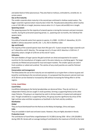 MARINE FISHERIES KARTIK
and adults feed on fishes (piscivorous). They also feed on molluscs, echinoderms, annelids etc. to
certain extent.
Size at first maturity
The smaller sciaenids attain maturity in the second year and breed in shallow coastal waters. The
bigger sciaenids in general attain maturity late in their life. Pseudosciaena diacanthus which reaches
a size of 150-180 cm in length, becomes mature when it is 3 -4 years old and 850 mm is length.
Spawning season
The spawning season for the majority of sciaenid species is during the monsoon and post-monsoon
months. During the protracted spawning period, i.e., spawning over six months, the individual fish
spawns twice.
Fecundity
Fecundity of sciaenids varies from species to species. It is 5000 - 12,250 in P. diacanthus, 32,174 -
60,840 in Johnius dussumieri and 49, 216 - 1, 91, 932 in Otolithus ruber.
Age and Growth
The majority of the sciaenid species have short life span of 2 -3 years except the larger sciaenids such
as P. diacanthus and O. biaurilus. The average size of a 13-year old O. biauritus is 1520 mm. P.
diacanthus attain a length of 1270 mm at the end of 7 years.
Utilization
The swim bladders of larger species like ghol and koth are dried and exported to far eastern
countries for the manufacture of isinglass used in the wine industry as a clarifying agent. The larger
sciaenids are filleted and processed for local and export markets. The smaller species are sold in
fresh condition or salted and sundried. The catches of very small juveniles are used for fishmeal
production.
Conservation and management
The fishes below the size at first maturity are not exploited so as to give them a chance to grow and
breed for contributing to the recruitment process. It is proposed that the present cod end mesh size
of 25-30 mm can be retained or increased by 10% without increasing the fishing effort in all the
regions.
5.3.4a. Lizard fishes
Lizard fishes
Lizardfishes belonging to the family Synodontidae are demersal fishes. They do not form an
independent fishery and are caught in small quantities, forming a supporting fishery to the other
major fisheries. This group is an important by catch in shrimp trawlers in tropical and subtropical
seas. Though considered as a supporting fishery, this group assumes significance by virtue of the
high nutritive value and their acceptance as food both in the fresh and dry condition.
Distribution
Global
They are found distributed from the Red sea to the Malay Archipelago, China and Japan.
India
They are available in both east and west coasts. However, they are highly abundant in Kerala.
Production trend
The contribution of lizard fishes ranged between 0.1 % (500 t) during 1956 - 60 to 1.3% (29,600 t)
during 1991-95. Kerala with an average landing of contributed to the maximum of 43.4% to the total
 