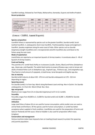 MARINE FISHERIES KARTIK
lizardfish landings, followed by Tamil Nadu, Maharashtra, Kamataka, Gujarat and Andhra Pradesh.
Recent production
Species composition
Lizardfish fishery is represented by species such as the greater lizardfish, Saurida tumbil, brush
toothed lizardfish, S. undosquamis; blunt nose lizardfish, Trachinocephalus myops and engleman's
lizardfish, Synodus englemani along the west coast of India. Other species such as Saurida
longimanus (longfin lizardfish) and S. micropectoralis (shortfm lizardfish) also contribute to the
fishery aong the east coast.
Mode of exploitation
Lizard fishes are reported as an important bycatch of shrimp trawlers. It constitutes about 3 - 4% of
bycatch of shrimp trawlers.
Food and feeding
The juveniles of S. tumbil feed chiefly on crustaceans (Lucifer, Acetes, Mysis) and fishes (Stolephorus
spp., Gazza spp. and Clupeids). The adults feed mainly on prawns (Penaeus spp.,) and on larvae and
adults of teleost fishes such as Stolephorus spp., Engraulis spp., Trichiurus spp., and Leiognathus spp.
They feed on small amount of copepods, cirripid larvae, larval decapods and Sagitta spp also.
Size at maturity
Saurida tumbil matures at about 230 - 270 mm and Saurida undosquamis at 170 - 210 mm
depending on region.
Spawning season
For Saurida tumbil, it is from Sep -March along Northwest coast and Aug -Nov in Cochin. For Saurida
undosquamis, it is from Oct -March (Peak: Nov -Dec).
Age and growth
Maximum size ranges from 25 cm (Saurida longimanus) to 67 cm (S. tumbil).
Fecundity
Fecundity ranges from 40,000 to 2, 15,000 for Saurida tumbil and 16,000 -1, 90,000 for Saurida
undosquamis.
Utilization
Large sized fishes of above 20 cm are used for human consumption, while smaller ones are used as
animal feeds and fertilizers. Of the species used for human consumption, S. tumbil has better
acceptance when supplied in fresh condition. Lizardfishes are used for the preparation of Surimi and
Satai (in Thailand) and fish sauce. Dried air bladder is also used for preparation offish maws
(isinglass).
Conservation and management
Various maritime states have imposed a ban on trawling (closed season) to protect the spawning
and juvenile population.
 