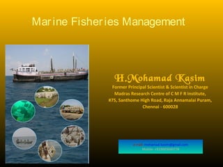 e mail: mohamad.kasim@gmail.com
Mobile: +919003040778
Marine Fisheries Management
H.Mohamad Kasim
Former Principal Scientist & Scientist in Charge
Madras Research Centre of C M F R Institute,
#75, Santhome High Road, Raja Annamalai Puram,
Chennai - 600028
 
