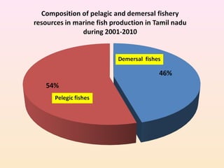 Perches
28%
Croakers
20%Elasmobranchs
9%
Flatfishes
8%
Catfishes
9%
Silverbellies
8%
Lizard fishes
5%
Pomfrets
6%
Goatfish...