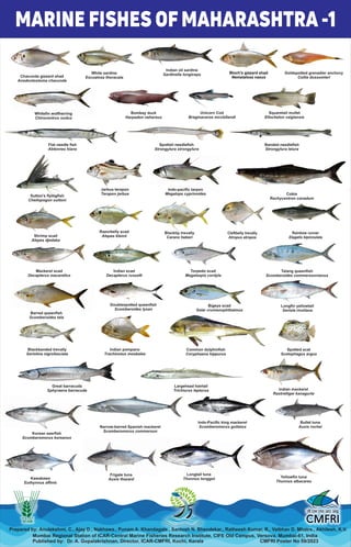 Marine fisheries resources and marine species of India.pdf