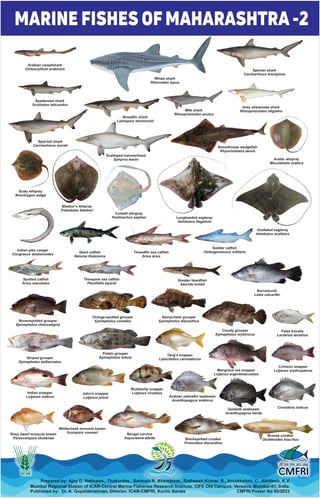 Marine fisheries resources and marine species of India.pdf