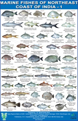 Marine fisheries resources and marine species of India.pdf
