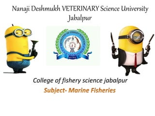 Nanaji Deshmukh VETERINARY Science University
Jabalpur
College of fishery science jabalpur
 