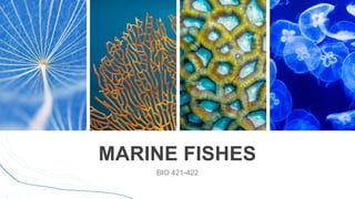 MARINE FISHES
BIO 421-422
 