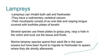 MARINE FISHES [Autosaved].pptx