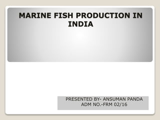 MARINE FISH PRODUCTION IN
INDIA
PRESENTED BY- ANSUMAN PANDA
ADM NO.-FRM 02/16
 