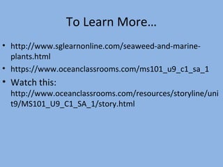 To Learn More…
• http://www.sglearnonline.com/seaweed-and-marineplants.html
• https://www.oceanclassrooms.com/ms101_u9_c1_sa_1

• Watch this:

http://www.oceanclassrooms.com/resources/storyline/uni
t9/MS101_U9_C1_SA_1/story.html

 