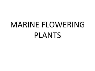 MARINE FLOWERING PLANTS 
