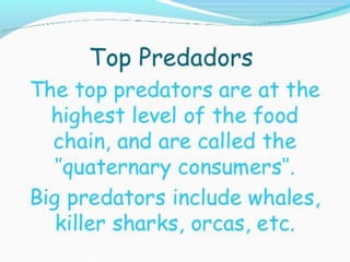 Marine food chain Biology Diagrams