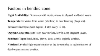 marine habitat.pptx pelagic,neritic classification | PPTX