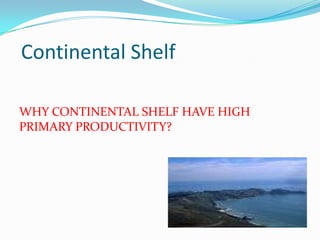 Continental Shelf
WHY CONTINENTAL SHELF HAVE HIGH
PRIMARY PRODUCTIVITY?
 