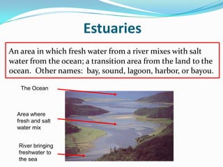 Estuaries
An area in which fresh water from a river mixes with salt
water from the ocean; a transition area from the land to the
ocean. Other names: bay, sound, lagoon, harbor, or bayou.
River bringing
freshwater to
the sea
The Ocean
Area where
fresh and salt
water mix
 