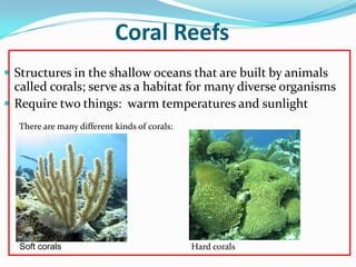 Coral Reefs
 Structures in the shallow oceans that are built by animals
called corals; serve as a habitat for many diverse organisms
 Require two things: warm temperatures and sunlight
There are many different kinds of corals:
Soft corals Hard corals
 