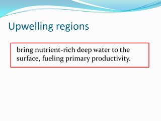 Upwelling regions
bring nutrient-rich deep water to the
surface, fueling primary productivity.
 