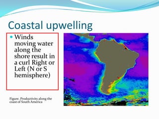 Coastal upwelling
 Winds
moving water
along the
shore result in
a curl Right or
Left (N or S
hemisphere)
Figure. Productivity along the
coast of South America
 