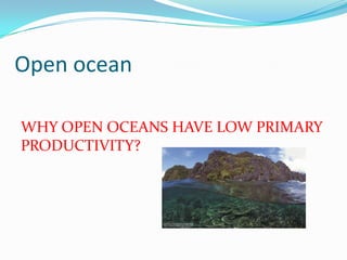 Open ocean
WHY OPEN OCEANS HAVE LOW PRIMARY
PRODUCTIVITY?
 
