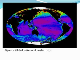 Figure 2. Global patterns of productivity
 