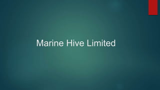 Marine Hive Limited
 