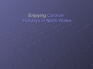 Enjoying  Caravan  Holidays in North Wales 
