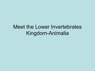 Meet the Lower Invertebrates
     Kingdom-Animalia
 