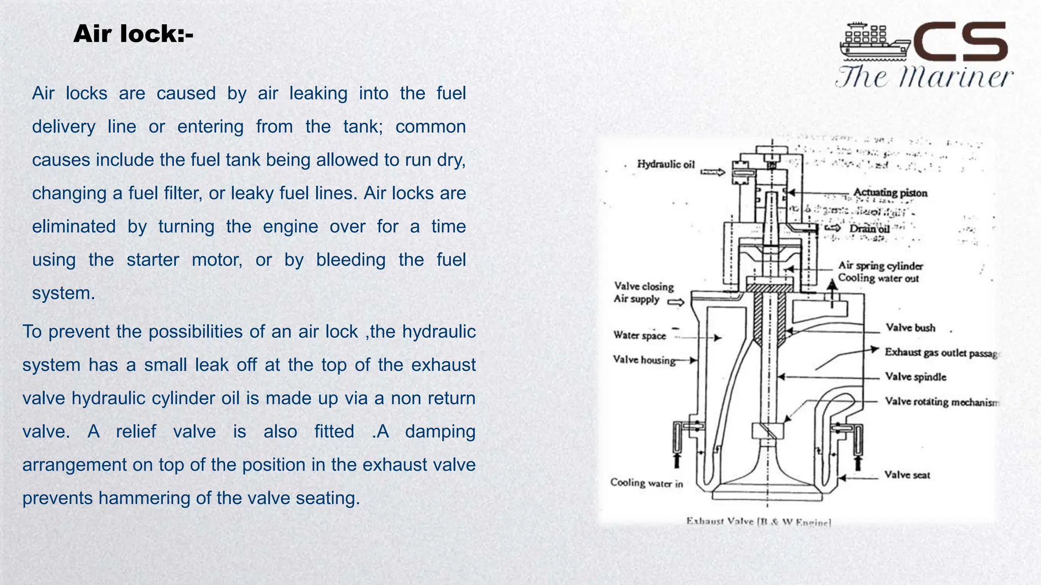 Curated visual reference: Visual Reference: Marine Knowledge Series
