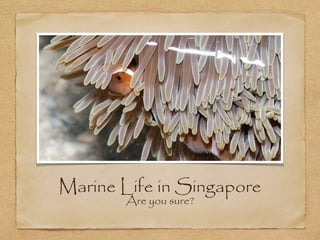 Marine Life in Singapore
Are you sure?

 