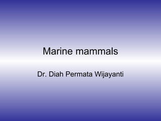 Marine mammals
Dr. Diah Permata Wijayanti

 