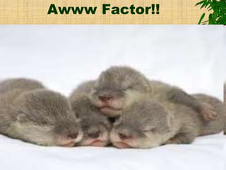 Awww Factor!!
 