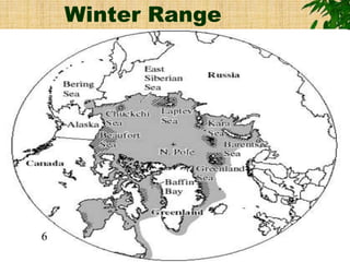Winter Range
6
 