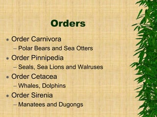 Orders
 Order Carnivora
– Polar Bears and Sea Otters
 Order Pinnipedia
– Seals, Sea Lions and Walruses
 Order Cetacea
– Whales, Dolphins
 Order Sirenia
– Manatees and Dugongs
 